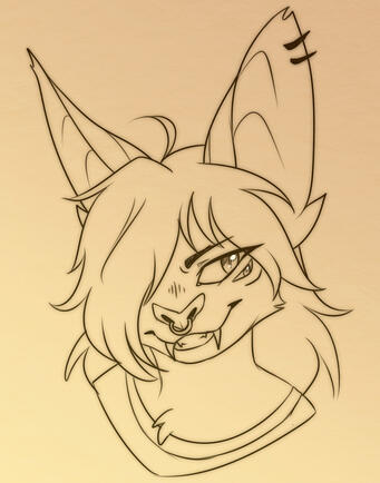 Lined