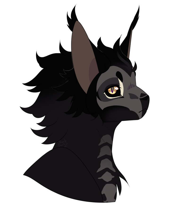 Flat Bust