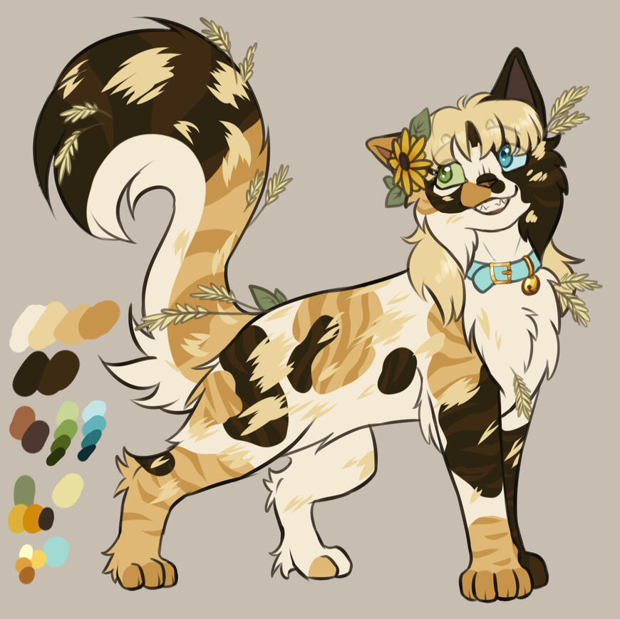 Sketch Custom