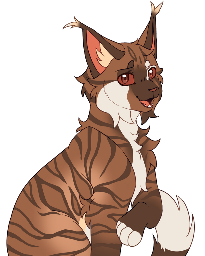 Flat Halfbody